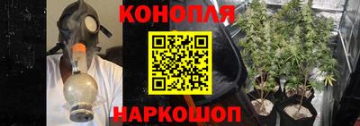 гидропоника Тара