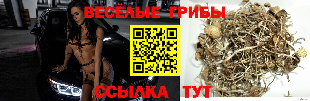 Надым  Псилоцибиновые грибы ЛСД  Вход с VPN 